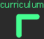 curriculum vitae