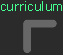 curriculum vitae